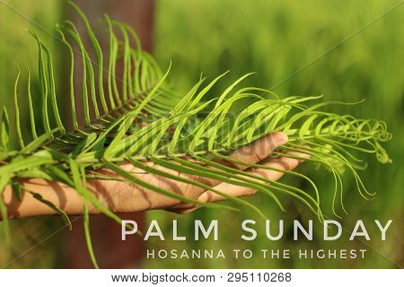 Palm Leaves In Hand. A Young Woman Holding Palm Leaves. Palm Leaves Background. Palm Sunday Concept.