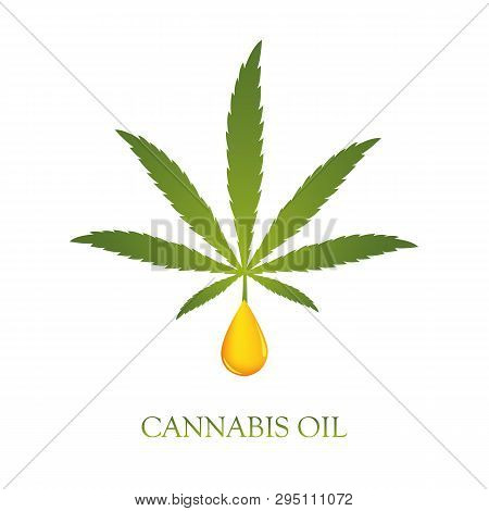 Healthy Cannabis Cbd Oil Drop Vector Illustration Eps10