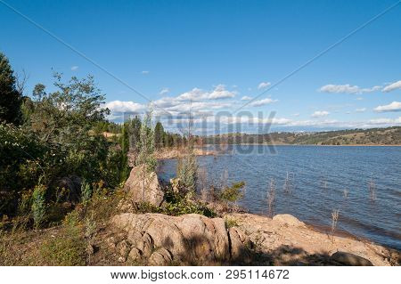 Nature Landscape Of Dry Tree Tops Submerged In Water. Global Warming, Water Flood Nature Background