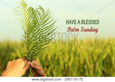 A Young Woman Holding Palm Leaves. Palm Leaves Background. Palm Sunday Concept. Have Blessed Palm Su