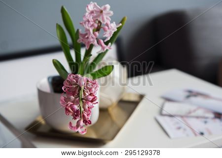 Pot With A Flower On The White Table 
With Blurred Background