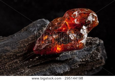 Natural Amber. A Piece Of Yellow And Red Semi Transparent Natural Amber On Piece Of Stoned Wood.