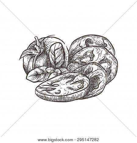 Tomatoes In Slices, Tomatoes Drawn Engraved Woodcut Style.