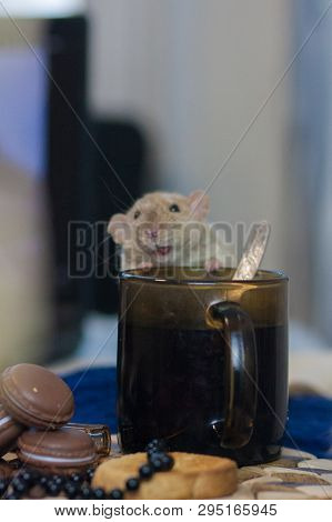 Morning Coffee. Mouse Beige. Symbol Of The New Chinese Year 2020