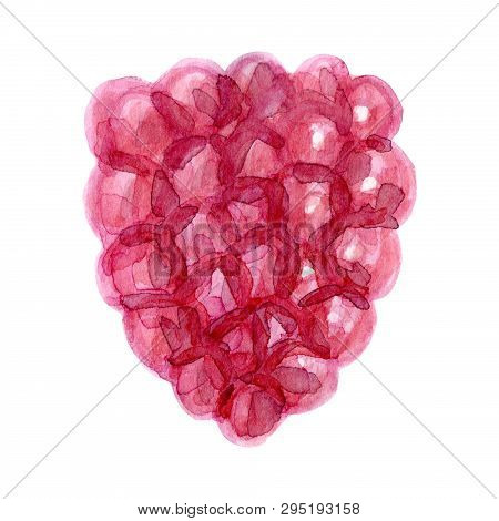 Watercolor Raspberry Fruit. Hand Drawn Summer Illustration. Design For Fabric, Packaging, Textile, C