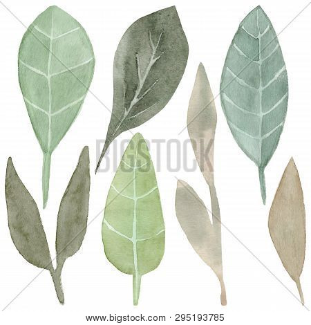 Seamless Pattern Of Hand Drawn Watercolor Delicate Flowers And Leaves. Design For Wedding Invitation