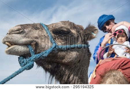Mother And Daughter Riding On A Camel, With A Close-up Of A Camel Against A Blue Sky