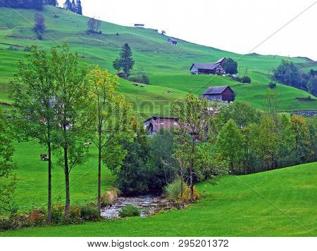 The Wiss Thur Stream In The Stein Settlement And The Obertoggenburg Region - Canton Of St. Gallen, S