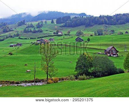 The Wiss Thur Stream In The Stein Settlement And The Obertoggenburg Region - Canton Of St. Gallen, S