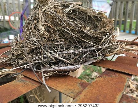 Looks Like An Empty Bird Nest.  All The Babies Have Flown Away
