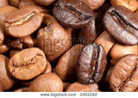 Miscela di caffè in grani