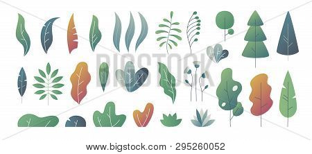 Flat Minimal Leaves. Fantasy Colors Gradation, Leaves Bushes And Trees Design Templates, Nature Grad