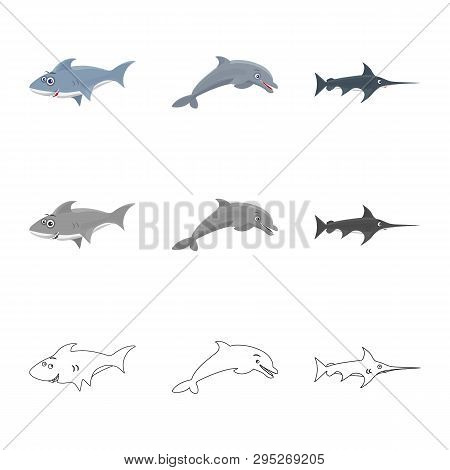 Vector Illustration Of Sea And Animal Icon. Collection Of Sea And Marine Stock Vector Illustration.