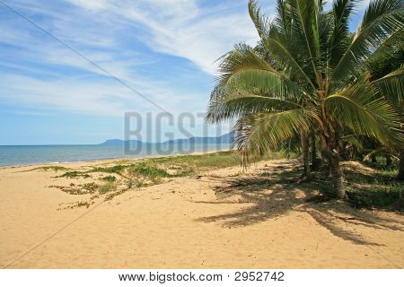 Yorkeys Knob Beach
