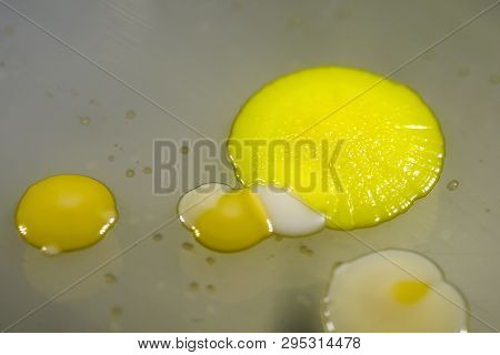Colonies Of Different Bacteria From Human Skin Grown On Petri Dish With Nutrient Agar. Microbiology 