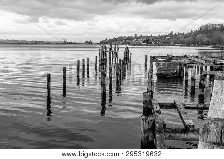 A View Of Decaying Pilings Near Shore In Ruston, Washington.