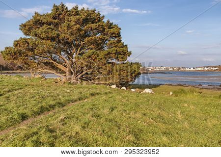 Salthill Houses And Silvestrand Beach In Galway Bay