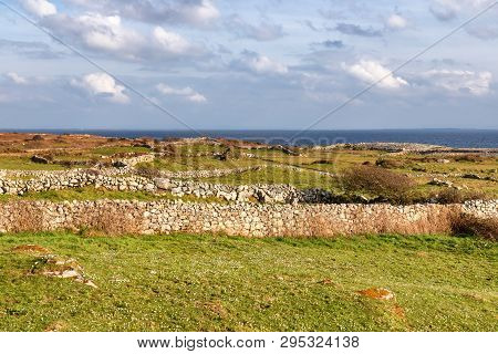 Farm Field And Galway Bay With Vegetation And Stone Wall