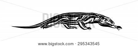 Hand Drawn Komodo Dragon. Vector Black Ink Drawing Varan Isolated On White Background. Graphic Anima