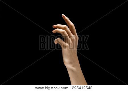 Female Hand Demonstrating A Gesture Of Getting Touch Isolated On Black Studio Background. Concept Of