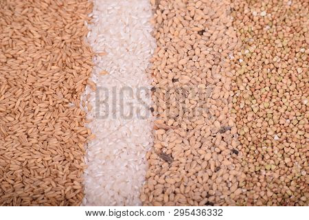 Barley, Rice, Oats And Grains Served On A Round  Wooden Board.