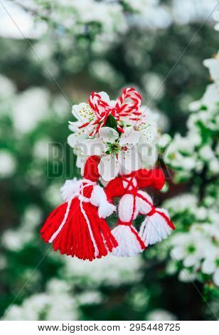 Bulgarian Traditional Spring Decor Martenitsa On The Blossom Tree Background. Baba Marta Holiday.