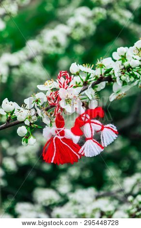 Bulgarian Traditional Spring Decor Martenitsa On The Blossom Tree Background. Baba Marta Holiday.