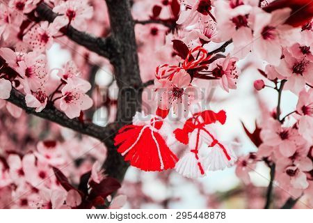 Bulgarian Traditional Spring Decor Martenitsa On The Cherry Blossom Tree Background. Baba Marta Holi