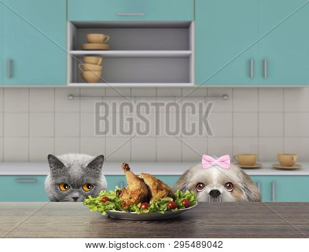 Cat And Dog Are Going To Eat Some Chiken From The Table. 3d Render