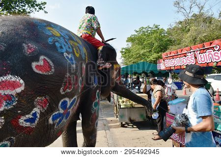 Ayutthaya Thailand April 14, 2019 : People Feeding Fruits To Elephant In Songkarn Festival