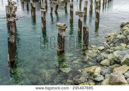 A View Of Decaying Pilings Near Shore In Ruston, Washington.