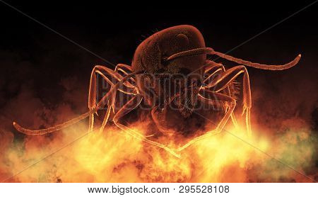 Big black ants on flame background. Focus stacking. Extreme sharp and detailed study