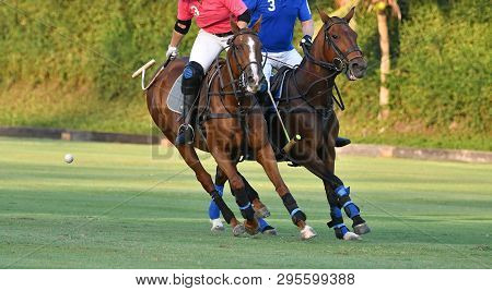 Horse Polo Player Backswing A Polo Mallet For Hit The Ball In Match.