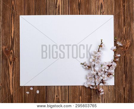 Apricot Branches With Flowers On A Wooden Background