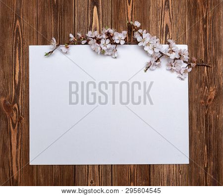Apricot Branches With Flowers On A Wooden Background