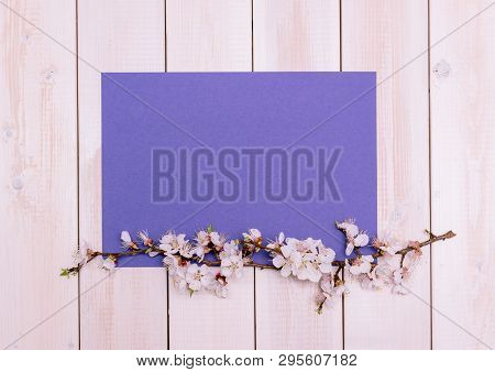 Apricot Branches With Flowers And Candle On A Plate On A Wooden Background