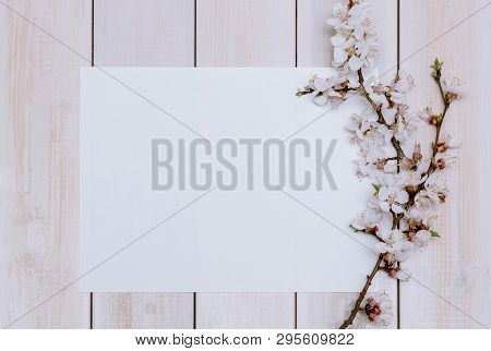 Apricot Branches With Flowers On A Wooden Background