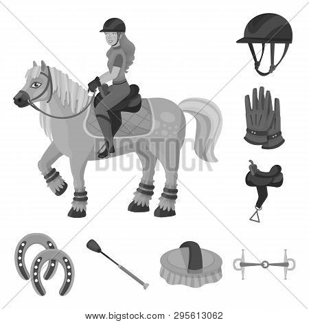 Vector Illustration Of Race  And Horse  Icon. Set Of Race  And Racing  Stock Symbol For Web.