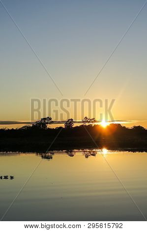 Sunrise In The Jungle. Yacuma Natural Park, Bolivia.