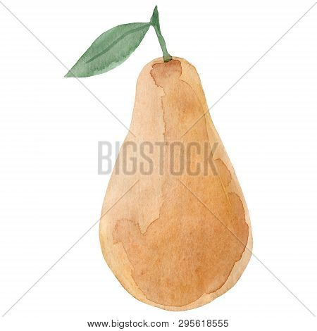 Watercolor Pear Fruit. Hand Drawn Summer Illustration. Design For Fabric, Packaging, Textile, Cover,