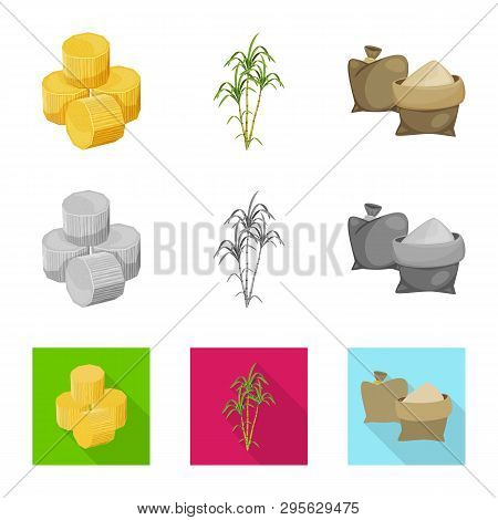 Vector Design Of Farm And Agriculture  Logo. Set Of Farm And Technology Stock Symbol For Web.