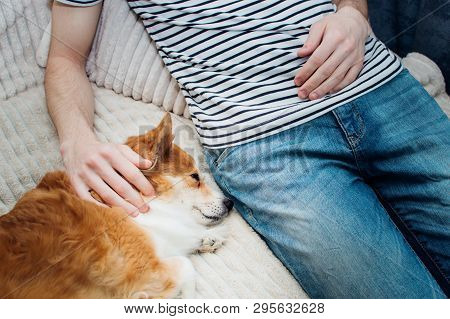 Dog Sleeps Next To Its Owner. Close-up. Friendship Concept