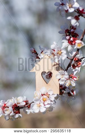 Closeup Wooden House With Hole In Form Of Heart Surrounded By White Flowering Branches Of Spring Tre