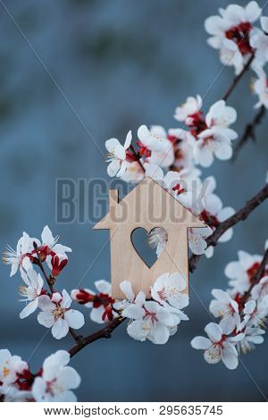 Closeup Wooden House With Hole In Form Of Heart Surrounded By White Flowering Branches Of Spring Tre