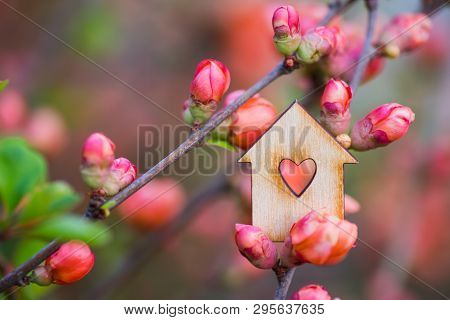 Closeup Wooden House With Hole In Form Of Heart Surrounded By Pink Flowering Branches Of Spring Tree