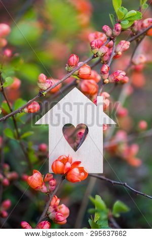 Closeup Wooden House With Hole In Form Of Heart Surrounded By Pink Flowering Branches Of Spring Tree