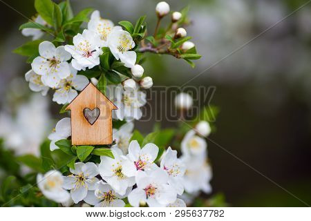Closeup Wooden House With Hole In Form Of Heart Surrounded By White Flowering Branches Of Spring Tre
