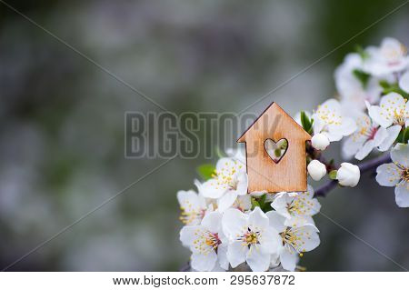 Closeup Wooden House With Hole In Form Of Heart Surrounded By White Flowering Branches Of Spring Tre