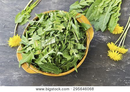 Bowl Full Of Freshly Picked Dandelion Leaves For A Salad