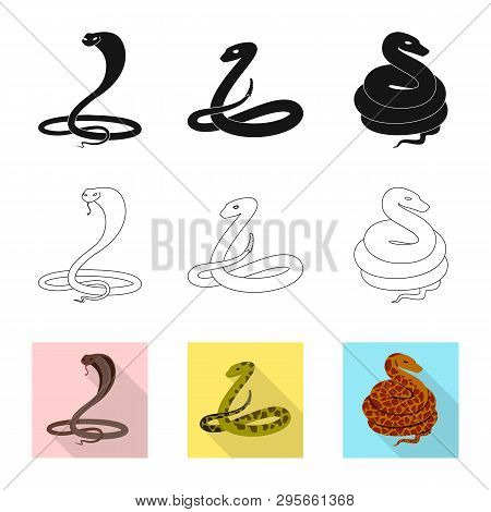 Vector Design Of Mammal And Danger Icon. Set Of Mammal And Medicine Stock Symbol For Web.
